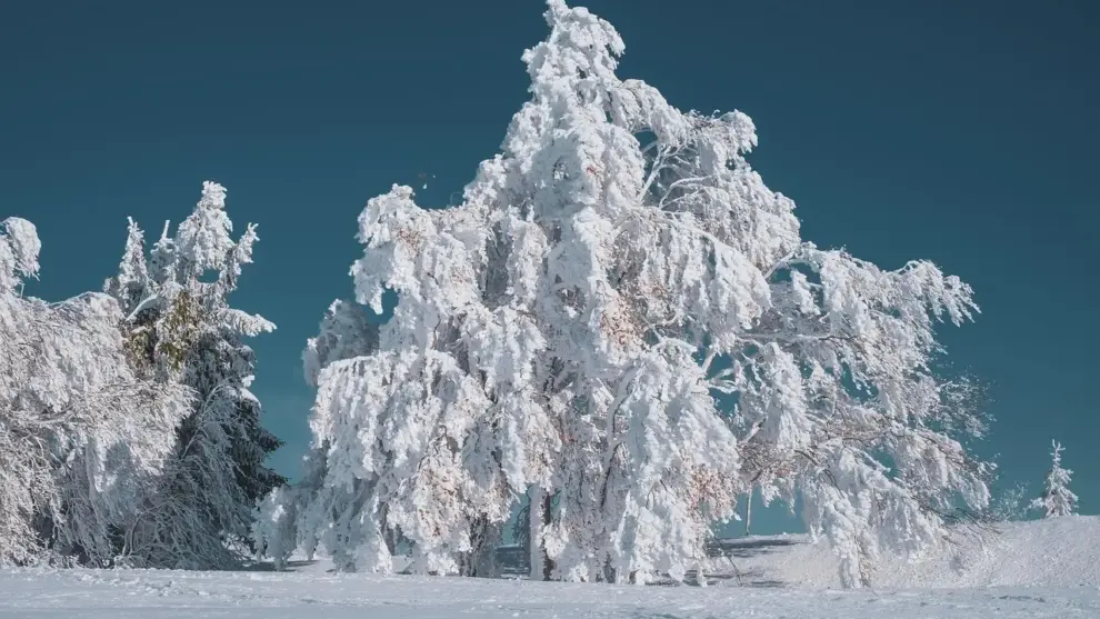 13 julegaver til kæresten, der elsker at grille