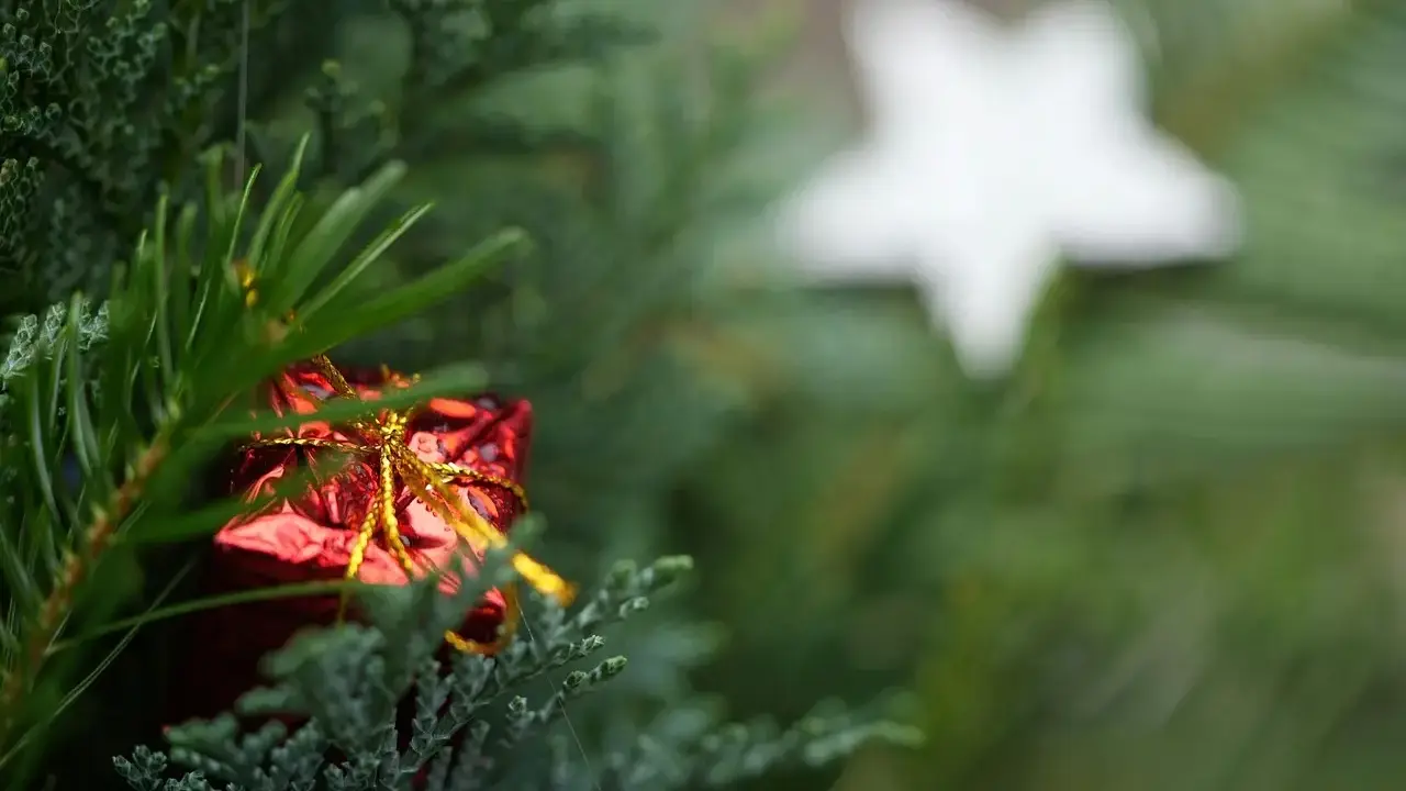 Gaveguide: Julegaver til den nyligt pensionerede bedstefar